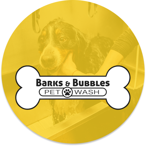 Pet Wash Services